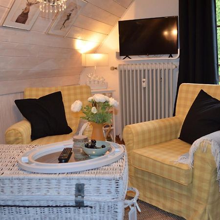 Ferienwohnung Seeblick Nr 4 2-Zimmer, Baerental, Feldberg Rotwasser Eksteriør billede