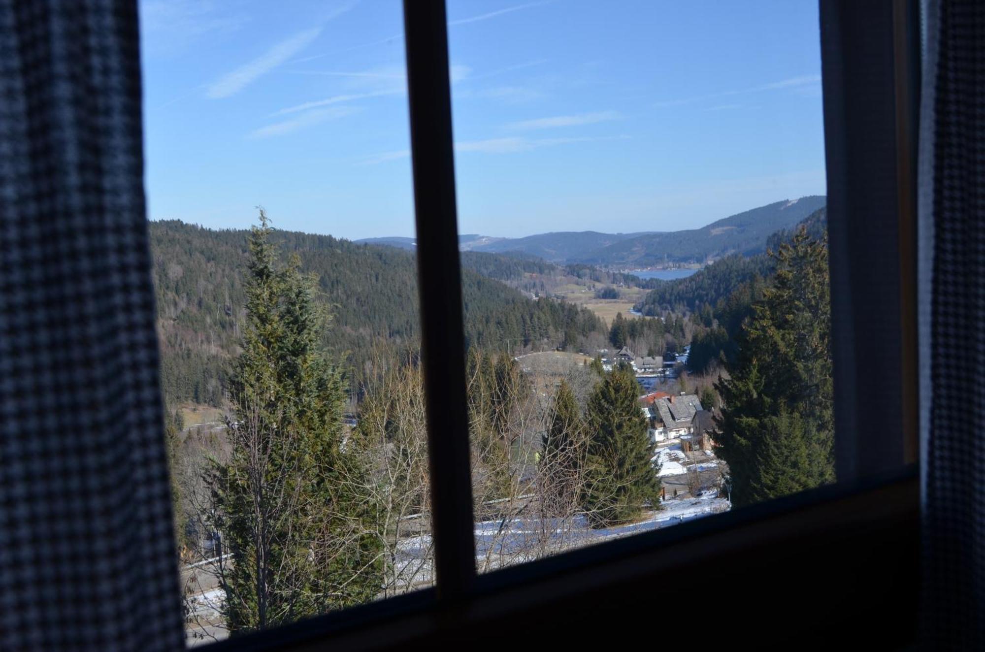 Ferienwohnung Seeblick Nr 4 2-Zimmer, Baerental, Feldberg Rotwasser Eksteriør billede